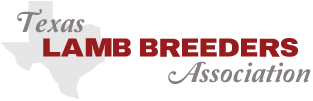Texas Lamb Breeders Association - Homepage